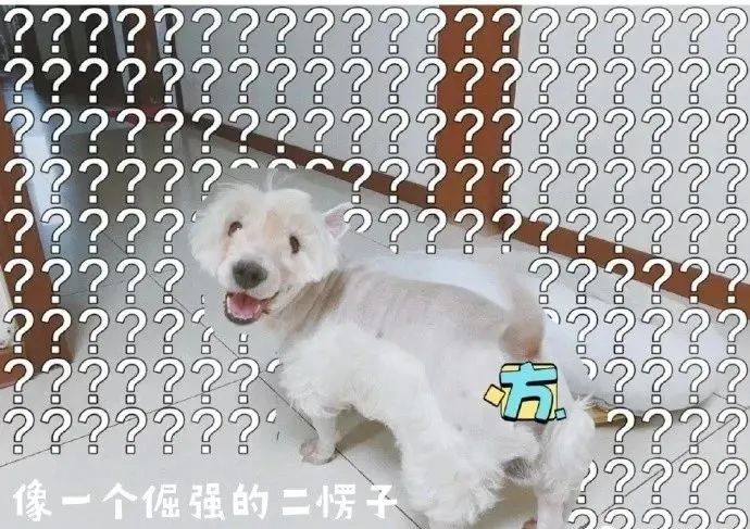 嘉联支付pos机刷储蓄卡_嘉联支付pos机怎么刷卡_嘉联支付智能pos